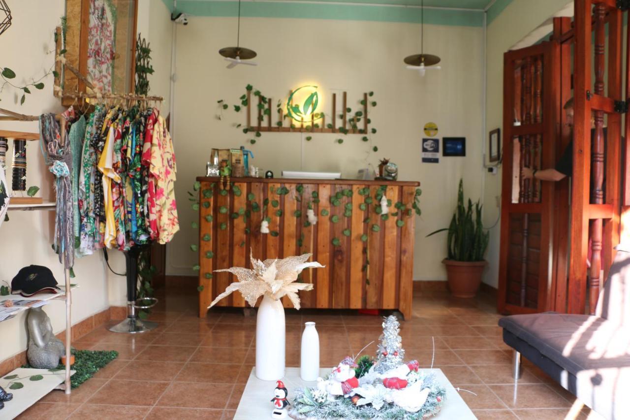 חרדין Candileja Hostel מראה חיצוני תמונה